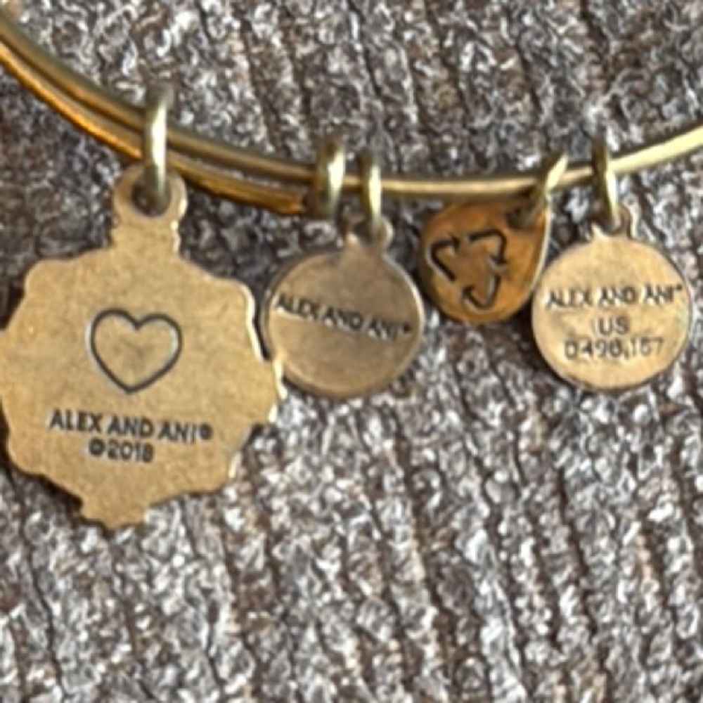 Alex and Ani “Sister” Gold Charm Bangle Bracelet with Swavorski Crystals, used - Picture 2 of 6